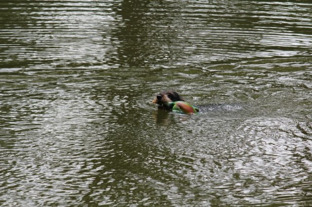 bhp_2011_1470
